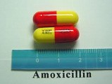 Amoxicillin