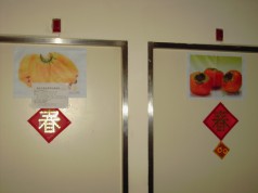 The Picture on the Door ~ to Avoid the Dementia Elderly Entering the Wrong Room